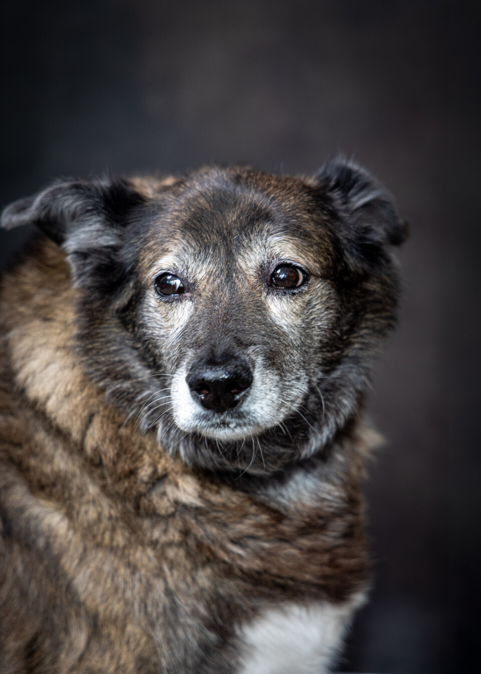 Portret aan huis  12